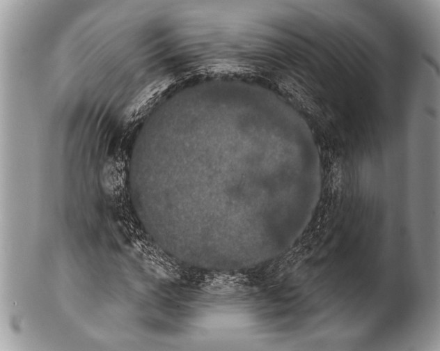 X0000100360824200806201602