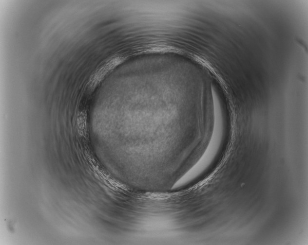 X0000100360825200806201602