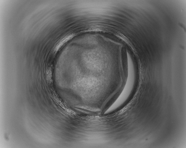 X0000100360826200806201602