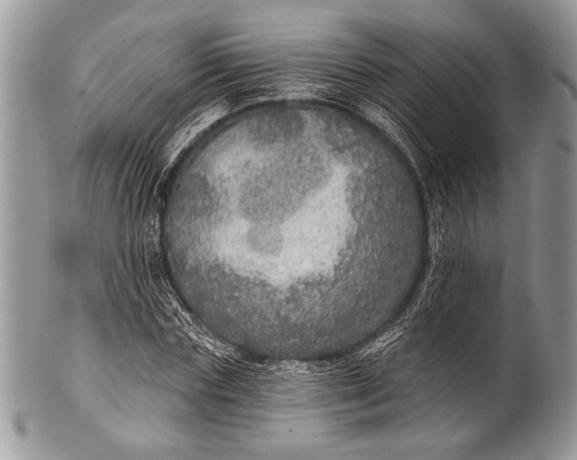 X0000100360827200806201602