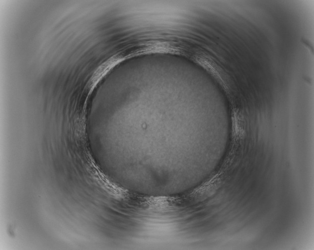 X0000100360828200806201602