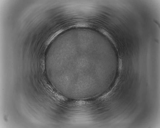 X0000100360829200806201602