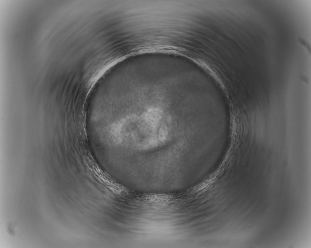 X0000100360830200806201602