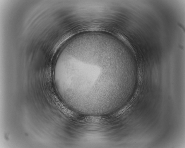 X0000100360831200806201602