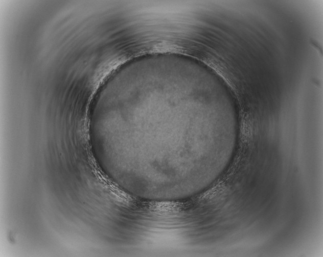 X0000100360832200806201602