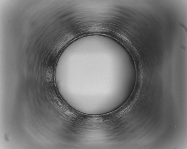 X0000100360833200806201602