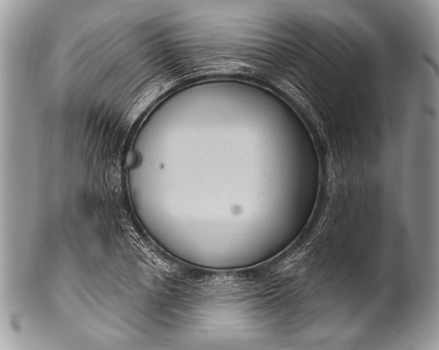 X0000100360834200806201602