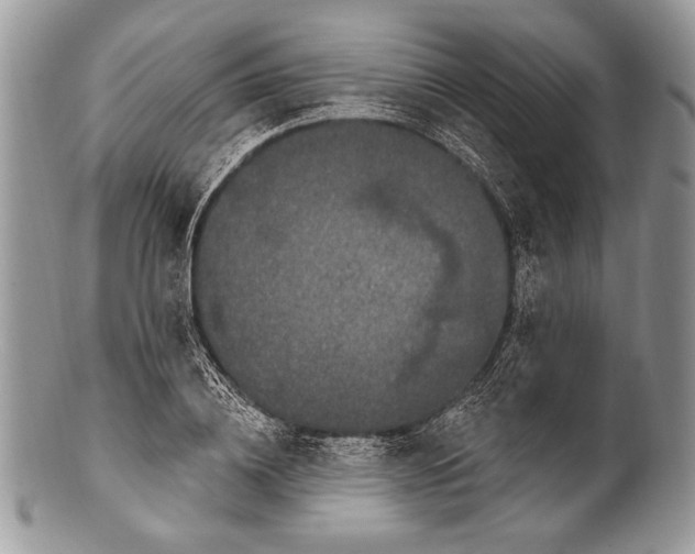 X0000100360836200806201602