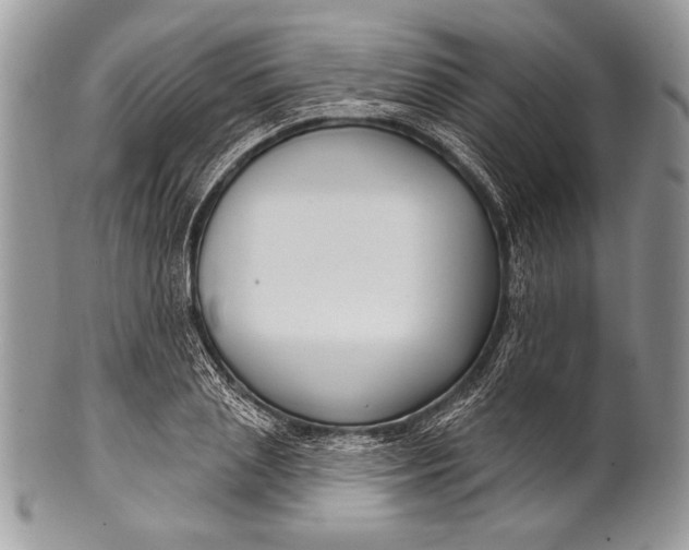 X0000100360837200806201602