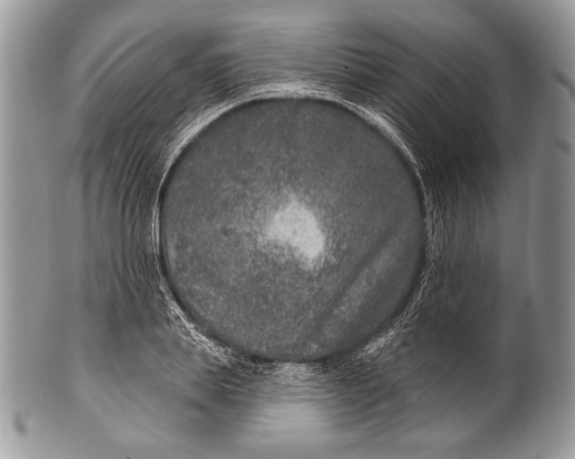 X0000100360839200806201602