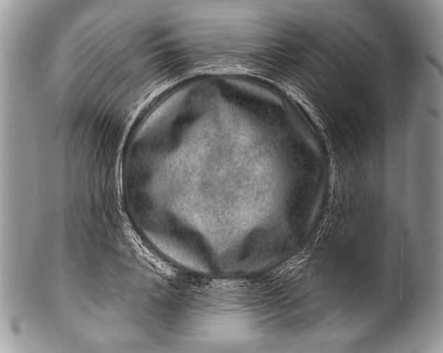 X0000100360840200806201602