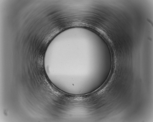 X0000100360841200806201602