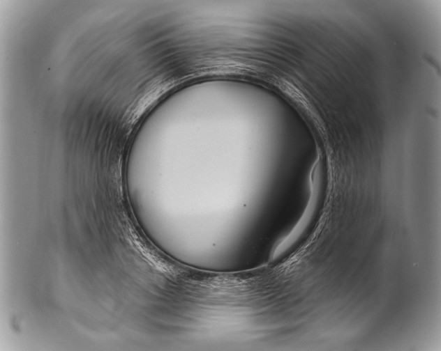 X0000100360842200806201602