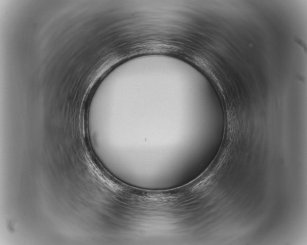 X0000100360843200806201602