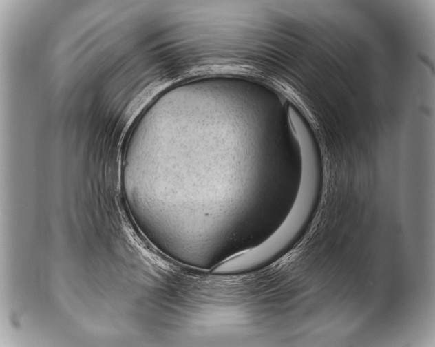 X0000100360844200806201603