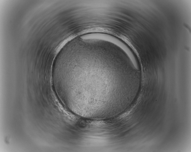 X0000100360845200806201603