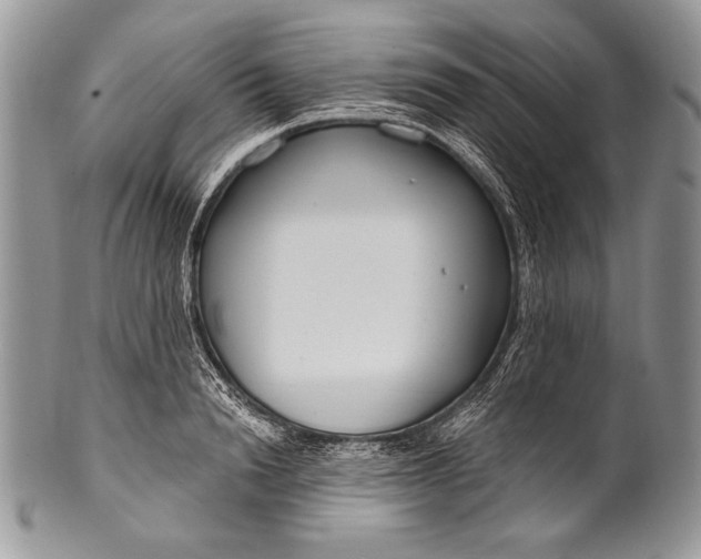 X0000100360846200806201603