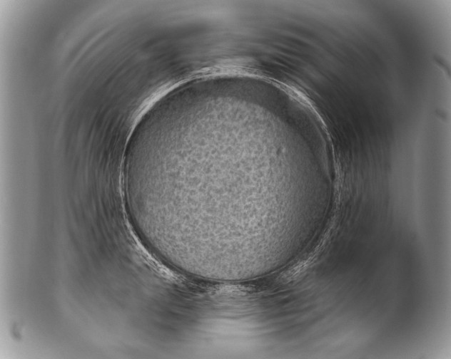 X0000100360847200806201603