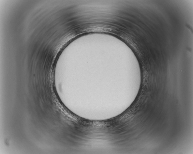 X0000100360848200806201603