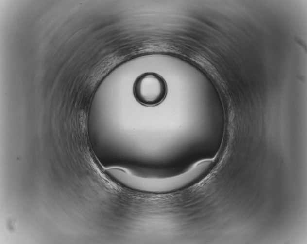 X0000100360849200806201603