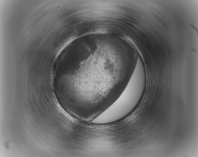 X0000100360851200806201603