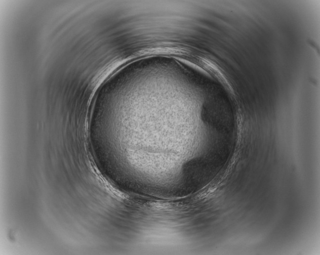 X0000100360852200806201603