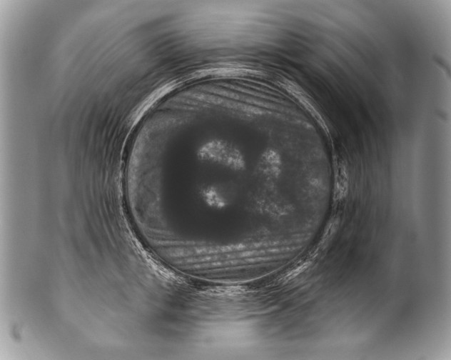 X0000100360853200806201603