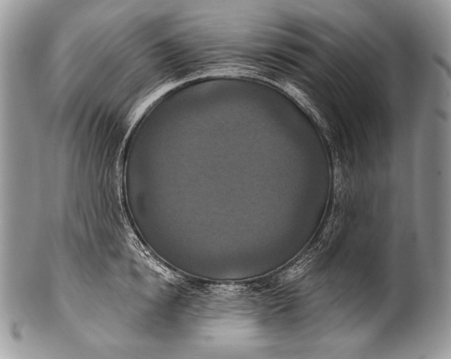 X0000100360854200806201603