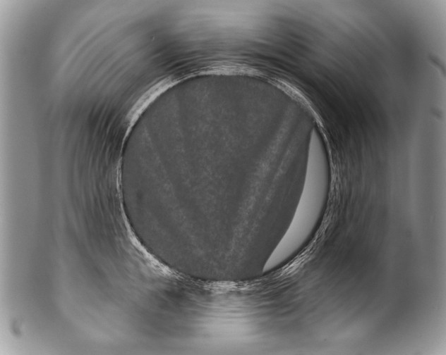 X0000100360855200806201603