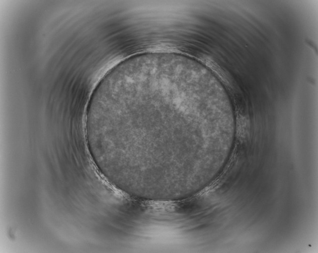 X0000100360856200806201603