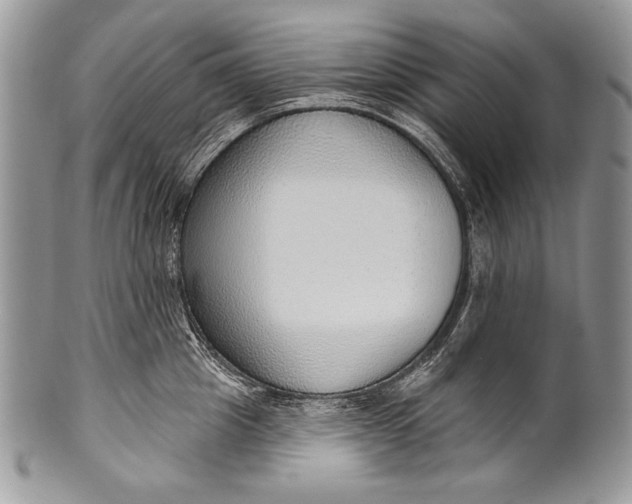 X0000100360857200806201603