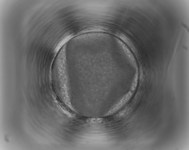 X0000100360858200806201603