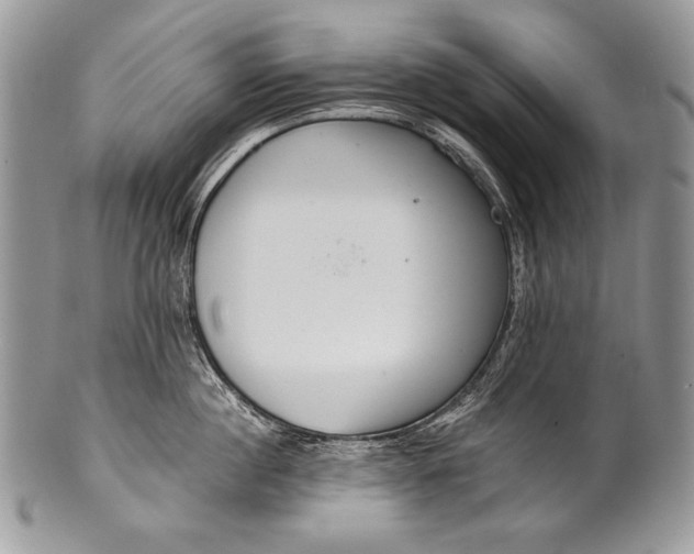 X0000100360860200806201603