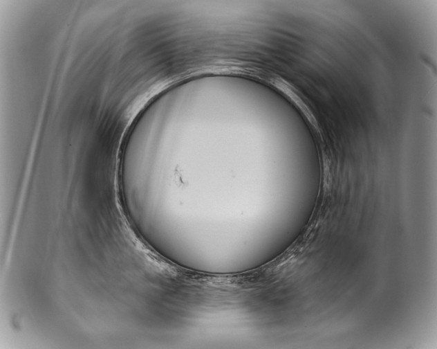 X0000100360861200806201603