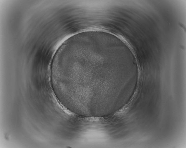 X0000100360862200806201603