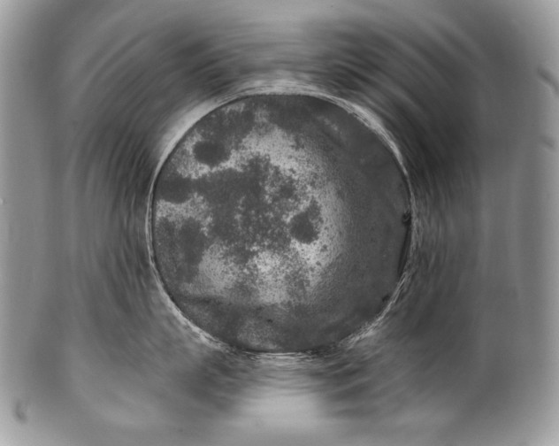 X0000100360863200806201603