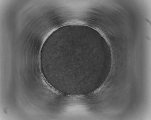 X0000100360864200806201603