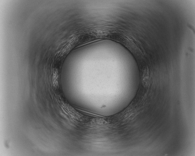 X0000100360866200806201602