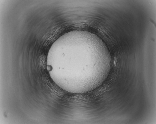 X0000100360867200806201602