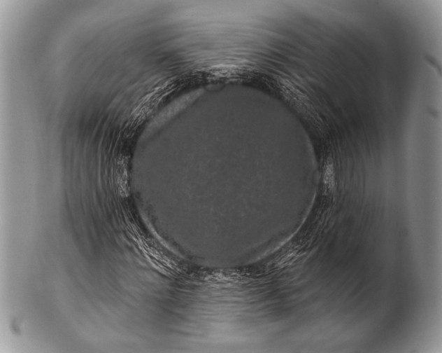 X0000100360868200806201602