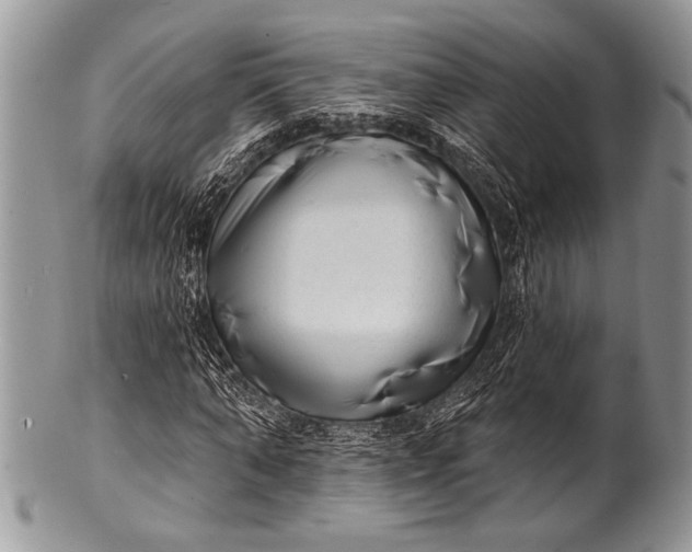 X0000100360870200806201602