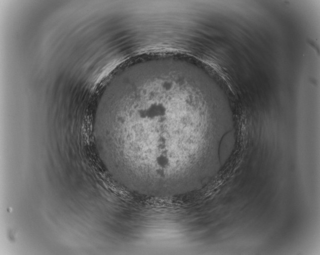 X0000100360871200806201602