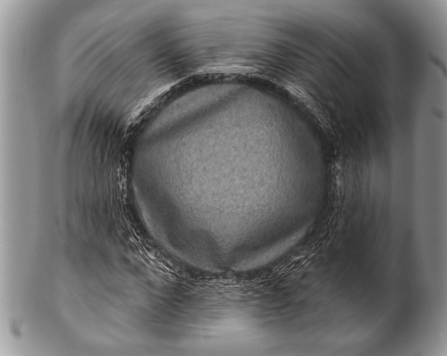 X0000100360872200806201602