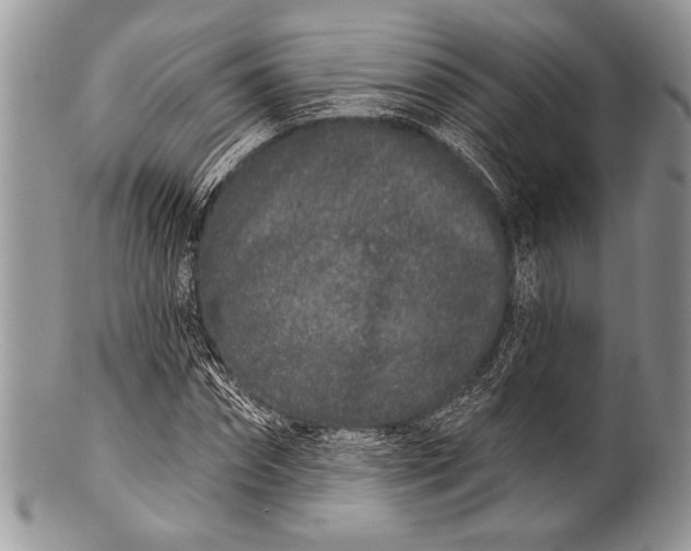 X0000100360874200806201602