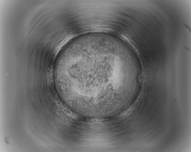 X0000100360875200806201602