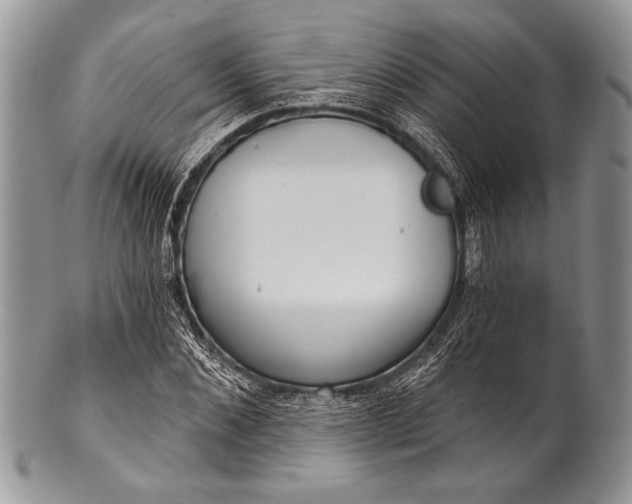 X0000100360876200806201602