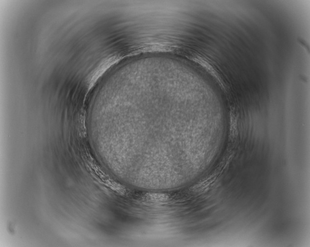 X0000100360878200806201602