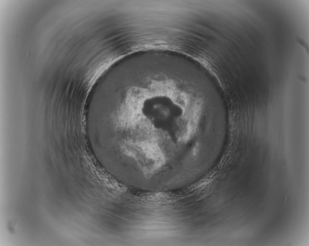 X0000100360879200806201602