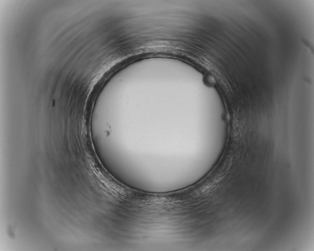 X0000100360880200806201602