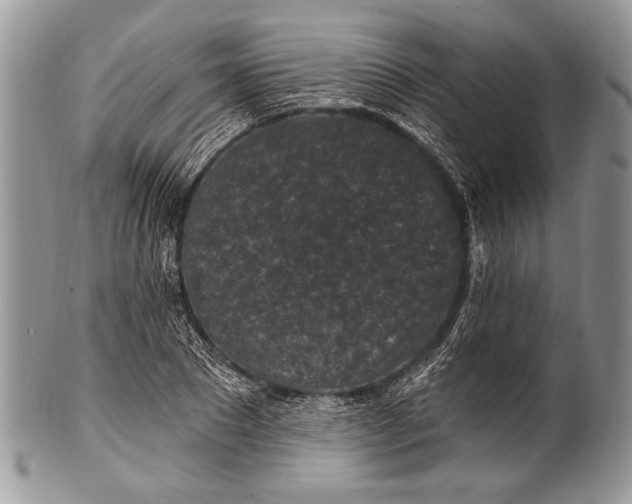 X0000100360881200806201602